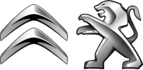vp parts services peugeout e citroen VP Parts Services